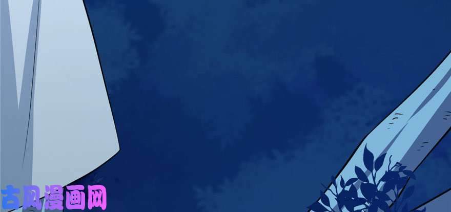 毒步天下：特工神医小兽妃33