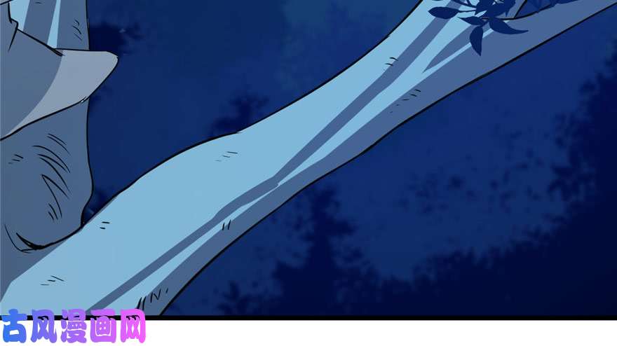 毒步天下：特工神医小兽妃33