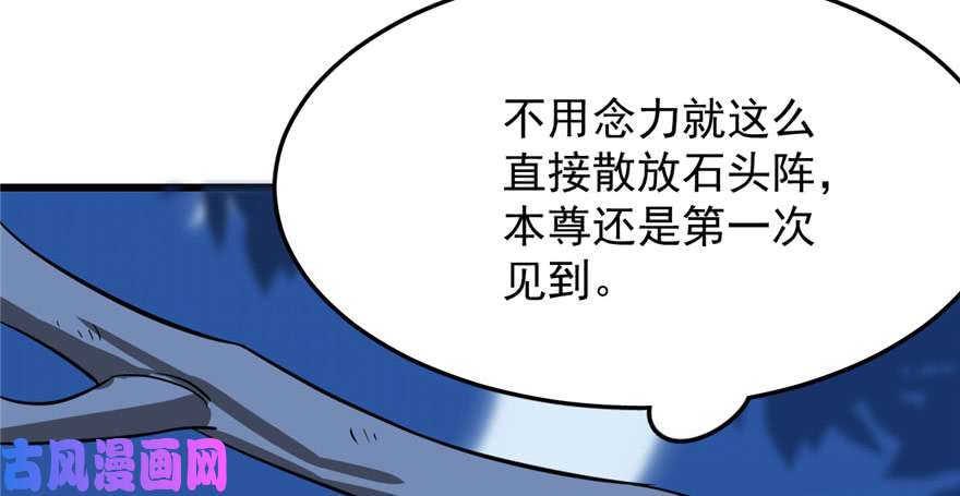 毒步天下：特工神医小兽妃33