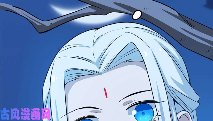 毒步天下：特工神医小兽妃33