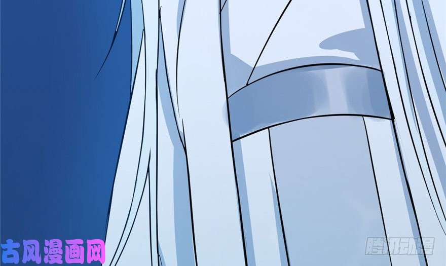 毒步天下：特工神医小兽妃33