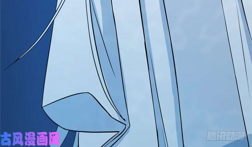 毒步天下：特工神医小兽妃33