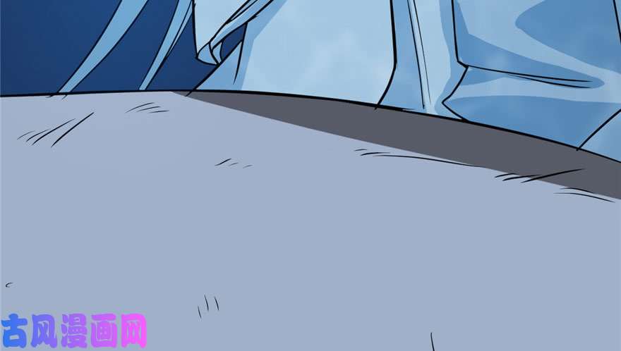 毒步天下：特工神医小兽妃33