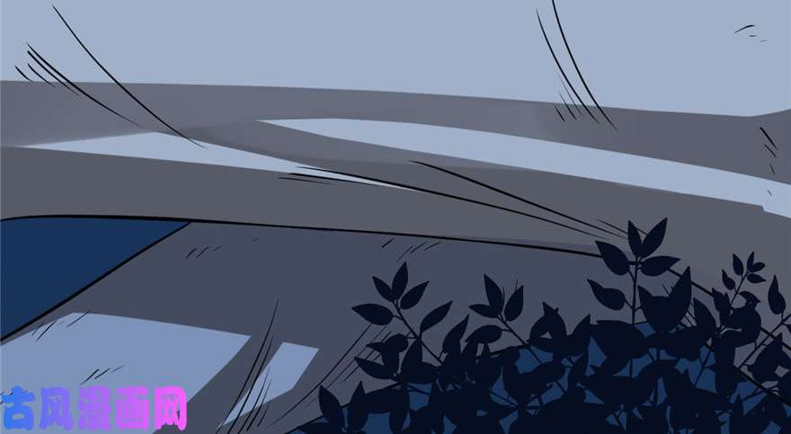 毒步天下：特工神医小兽妃33