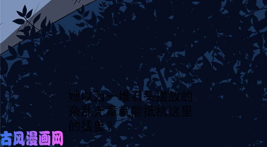 毒步天下：特工神医小兽妃33