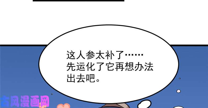 毒步天下：特工神医小兽妃33