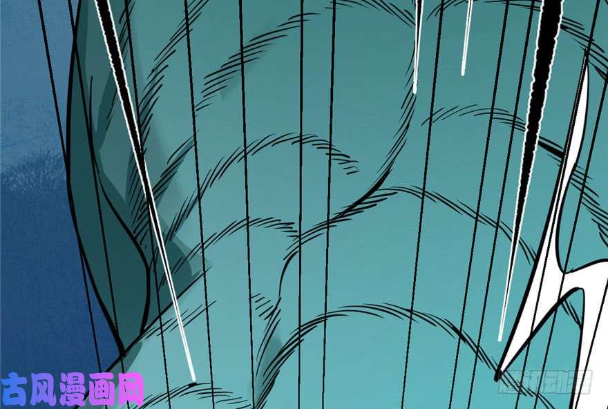 毒步天下：特工神医小兽妃33