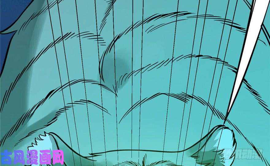 毒步天下：特工神医小兽妃33