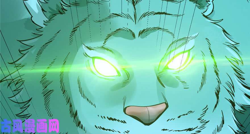 毒步天下：特工神医小兽妃33