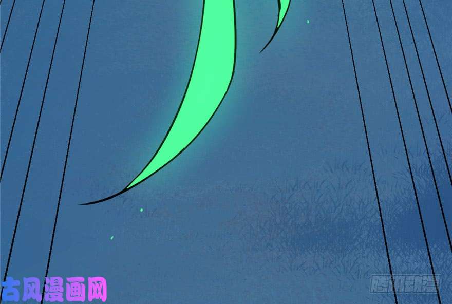 毒步天下：特工神医小兽妃33