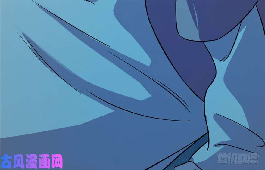 毒步天下：特工神医小兽妃33