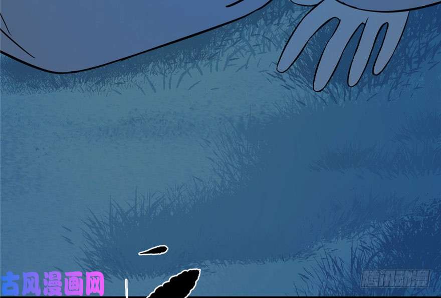 毒步天下：特工神医小兽妃33