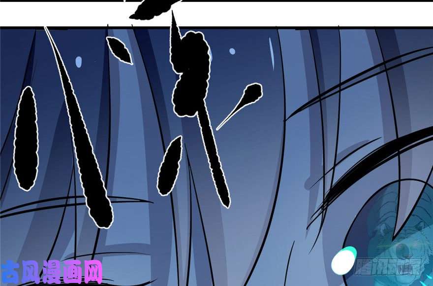 毒步天下：特工神医小兽妃33