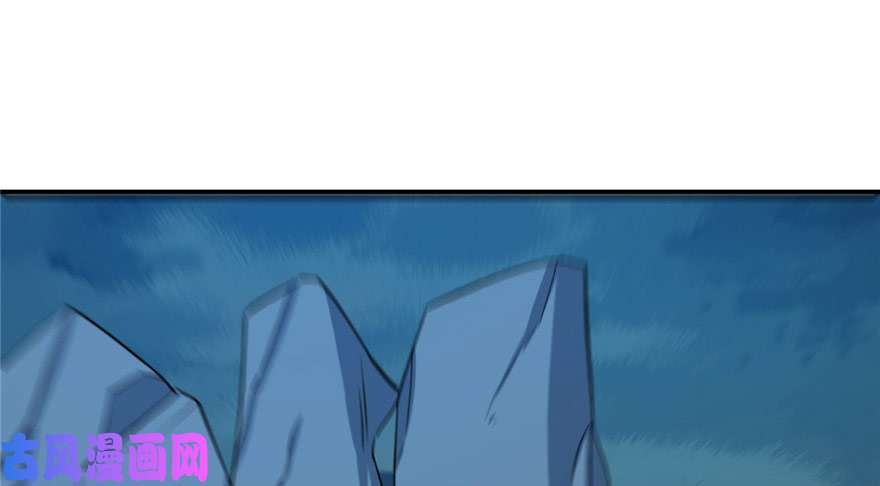 毒步天下：特工神医小兽妃33