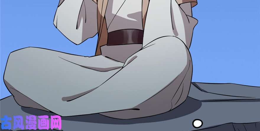 毒步天下：特工神医小兽妃33