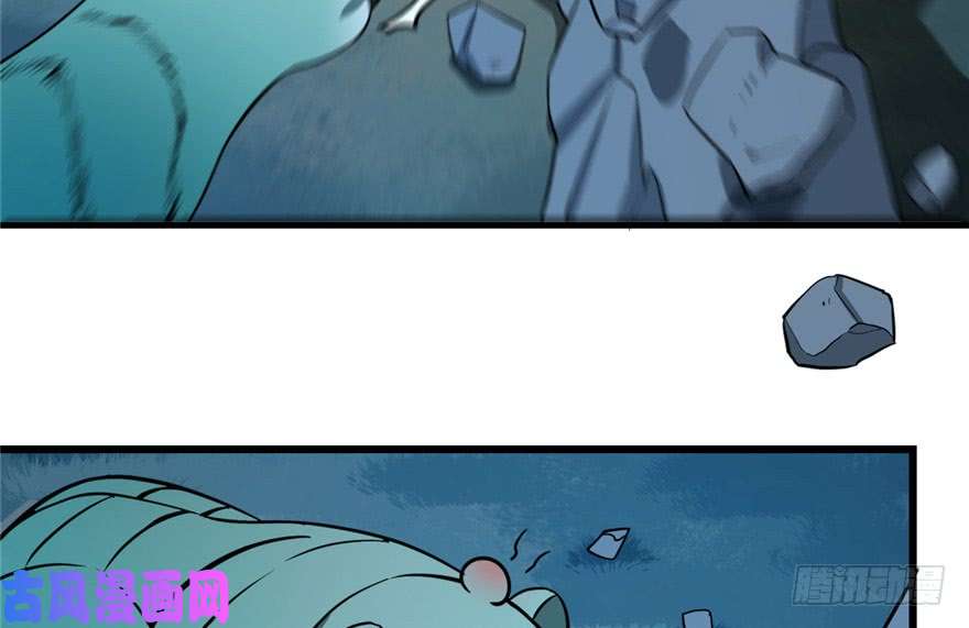 毒步天下：特工神医小兽妃33