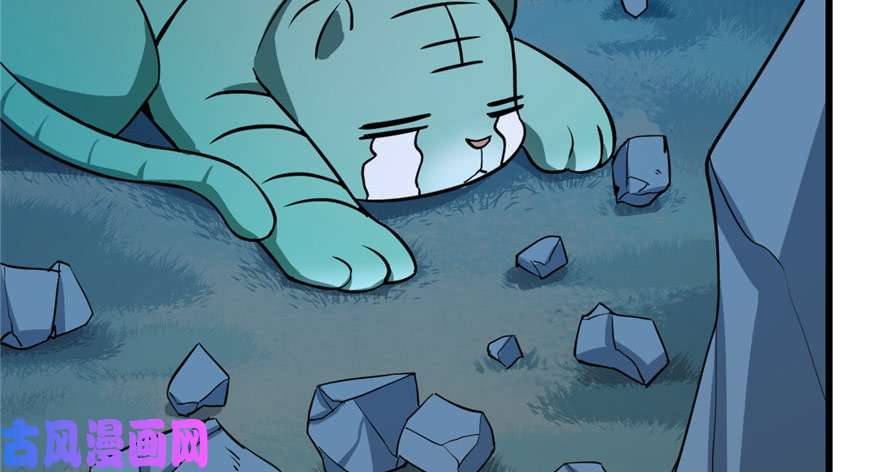 毒步天下：特工神医小兽妃33