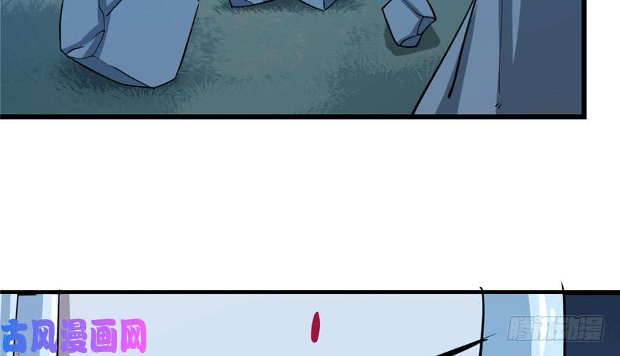 毒步天下：特工神医小兽妃33