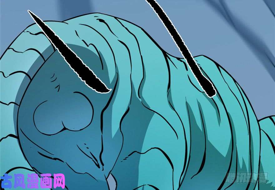 毒步天下：特工神医小兽妃33