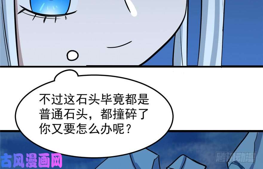 毒步天下：特工神医小兽妃33