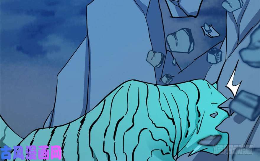 毒步天下：特工神医小兽妃33