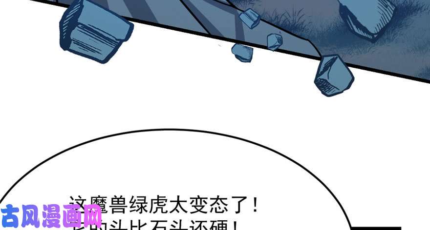 毒步天下：特工神医小兽妃33