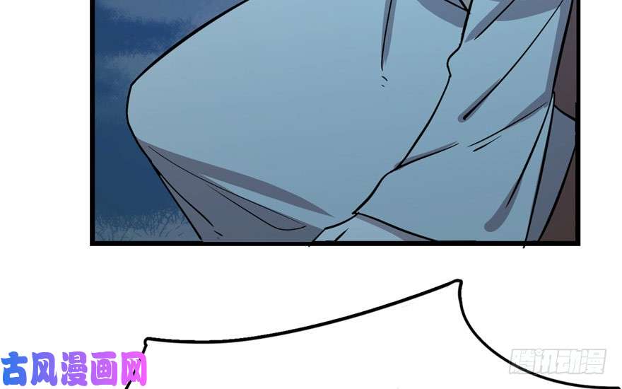 毒步天下：特工神医小兽妃33