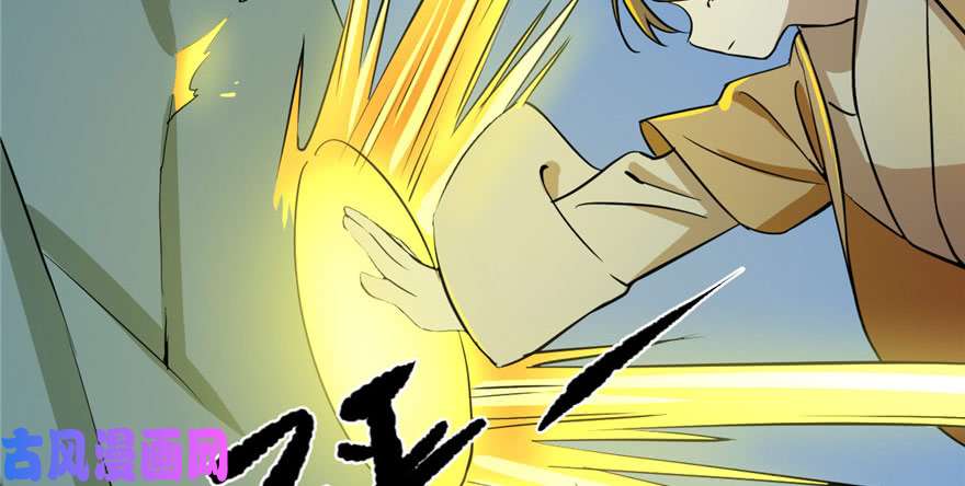 毒步天下：特工神医小兽妃33