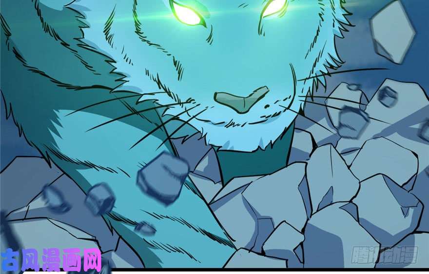 毒步天下：特工神医小兽妃33