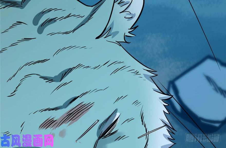 毒步天下：特工神医小兽妃33