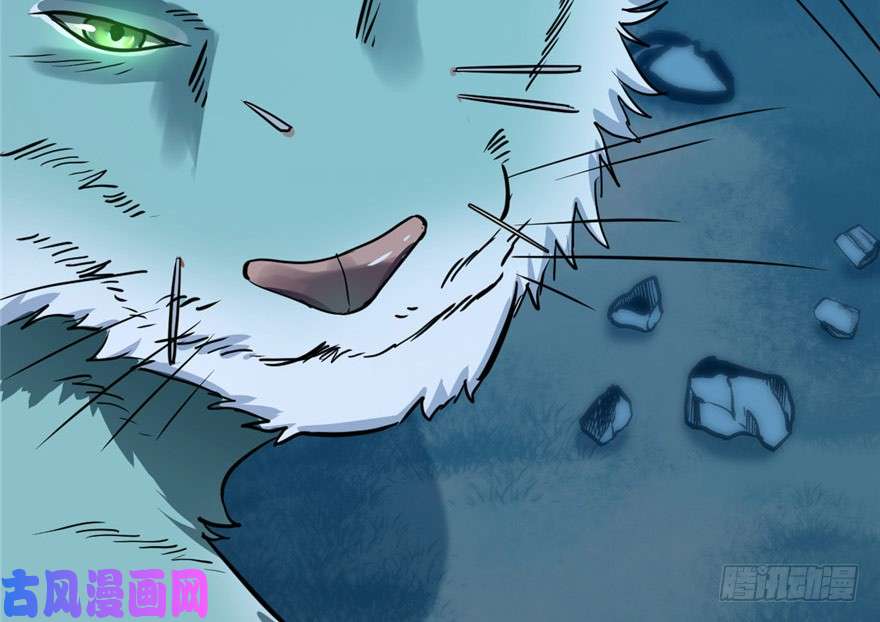 毒步天下：特工神医小兽妃33