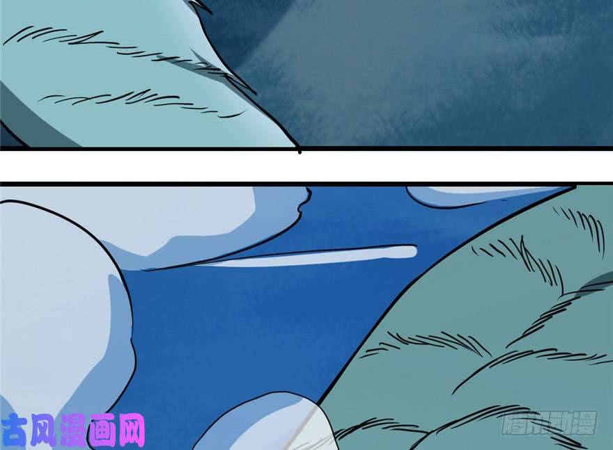 毒步天下：特工神医小兽妃33