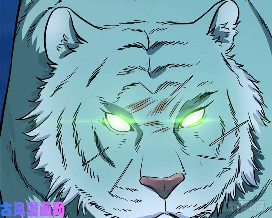 毒步天下：特工神医小兽妃33