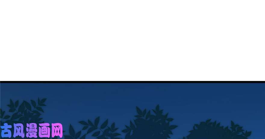 毒步天下：特工神医小兽妃34