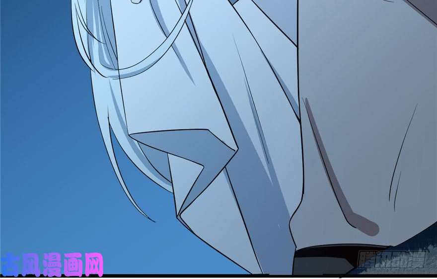 毒步天下：特工神医小兽妃34