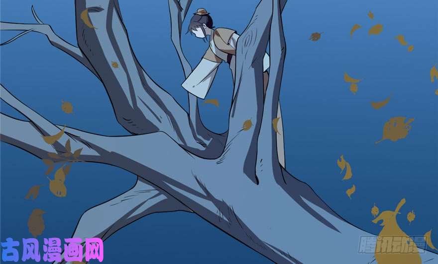 毒步天下：特工神医小兽妃34