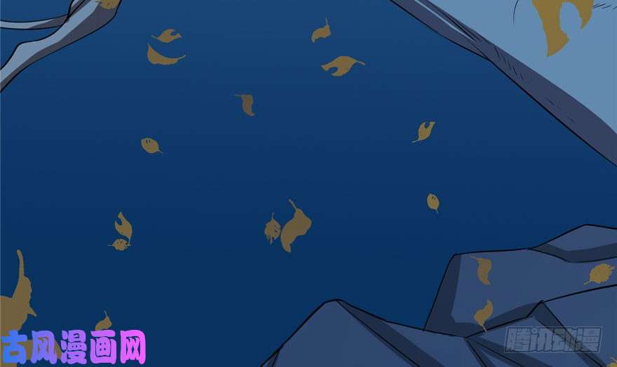 毒步天下：特工神医小兽妃34