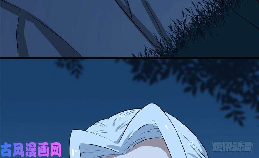 毒步天下：特工神医小兽妃34