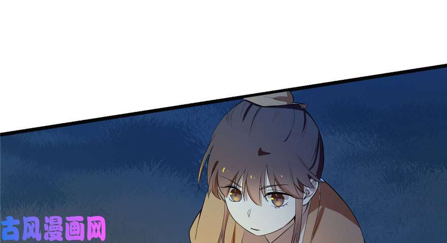 毒步天下：特工神医小兽妃34