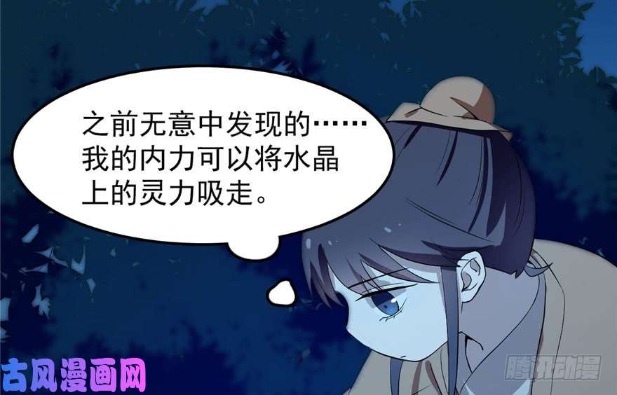 毒步天下：特工神医小兽妃34