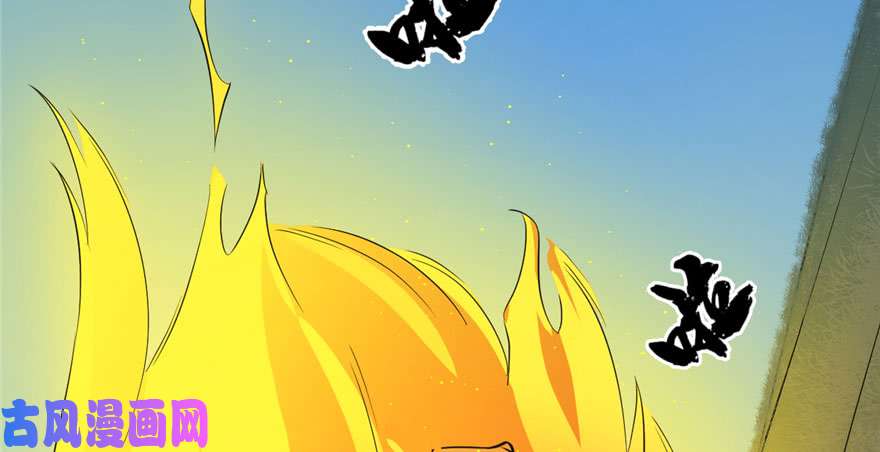 毒步天下：特工神医小兽妃34