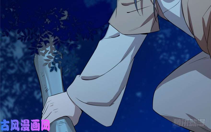 毒步天下：特工神医小兽妃34