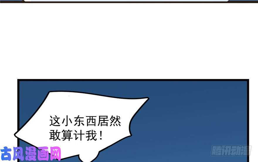 毒步天下：特工神医小兽妃34