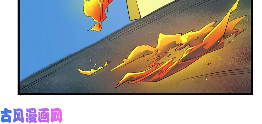 毒步天下：特工神医小兽妃34