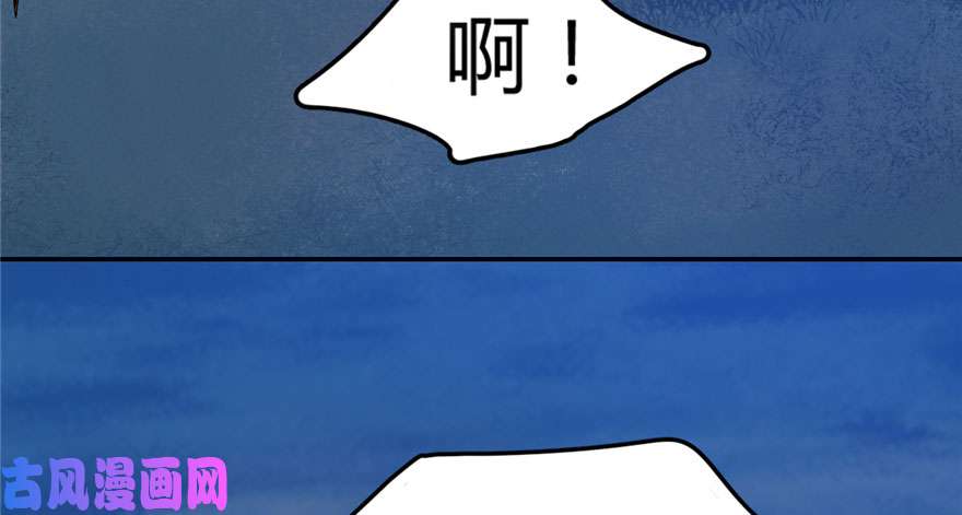 毒步天下：特工神医小兽妃34