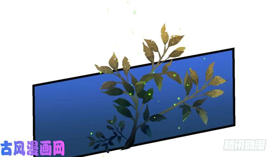 毒步天下：特工神医小兽妃34