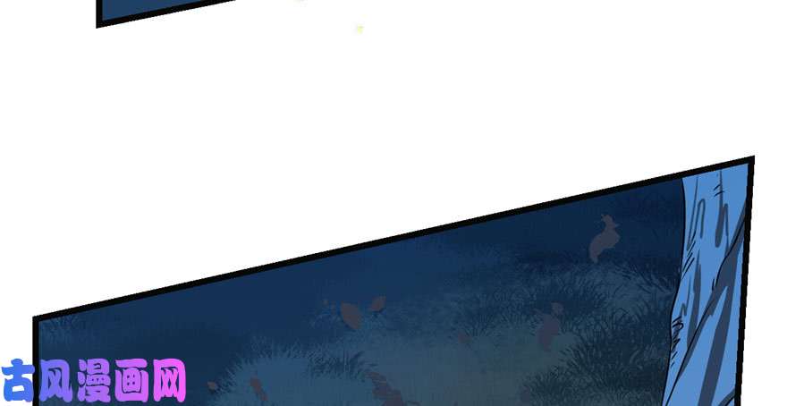 毒步天下：特工神医小兽妃34