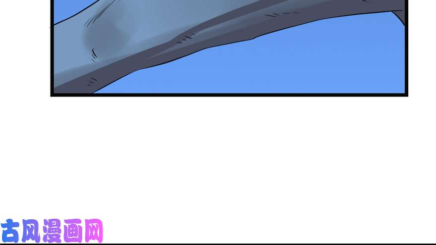 毒步天下：特工神医小兽妃34