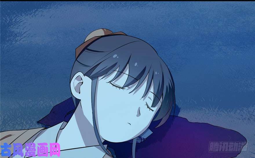 毒步天下：特工神医小兽妃34