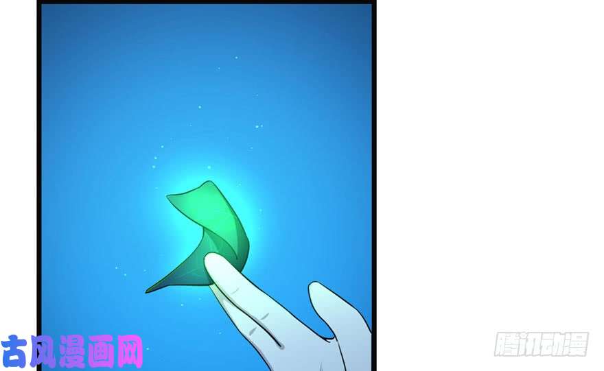 毒步天下：特工神医小兽妃34